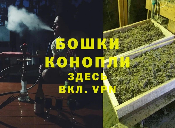 спайс Алзамай