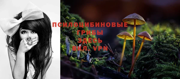 гидропоника Алексеевка